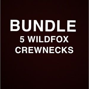 5 Wildfox crewnecks